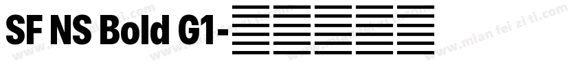 SF NS Bold G1字体转换